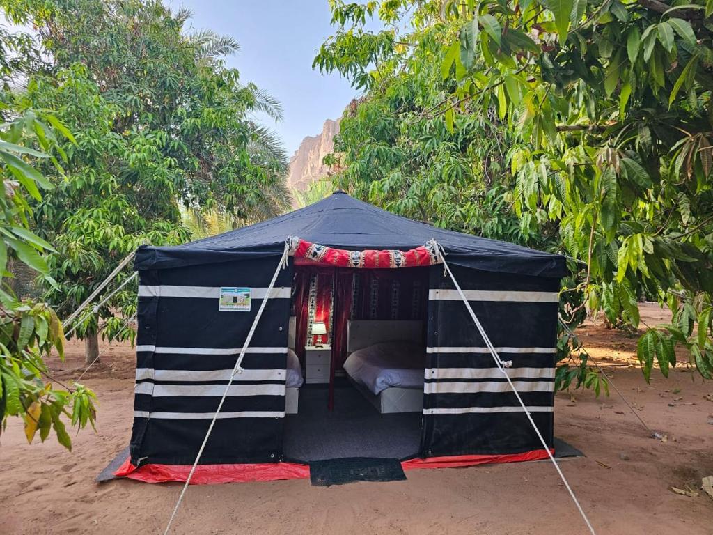 Mango Farm Camp في Al-Disah: خيمة زرقاء فيها سرير
