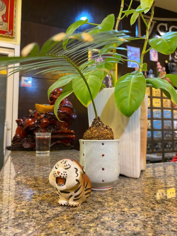 Tycoon place garden - Resim 33