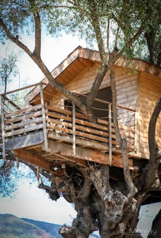 a tree house in a tree at Cabane Dans les Arbres, Domaine de l Ogliastru in Olmeto