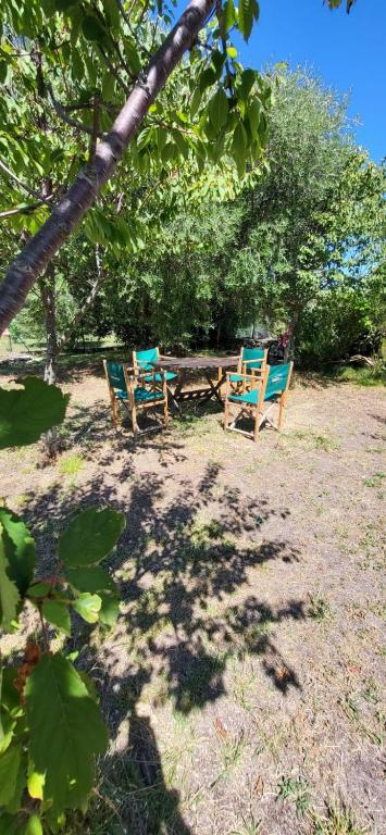 A garden outside GARDEN ROOMS