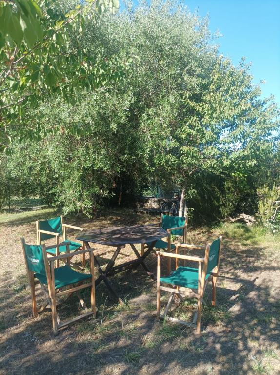A garden outside GARDEN ROOMS