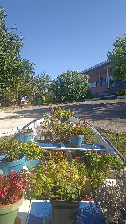 A garden outside GARDEN ROOMS