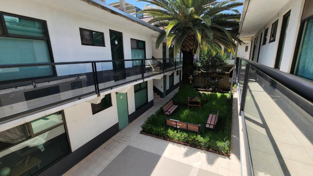 uma varanda de apartamento com uma palmeira e bancos em La Palma Coliving 
