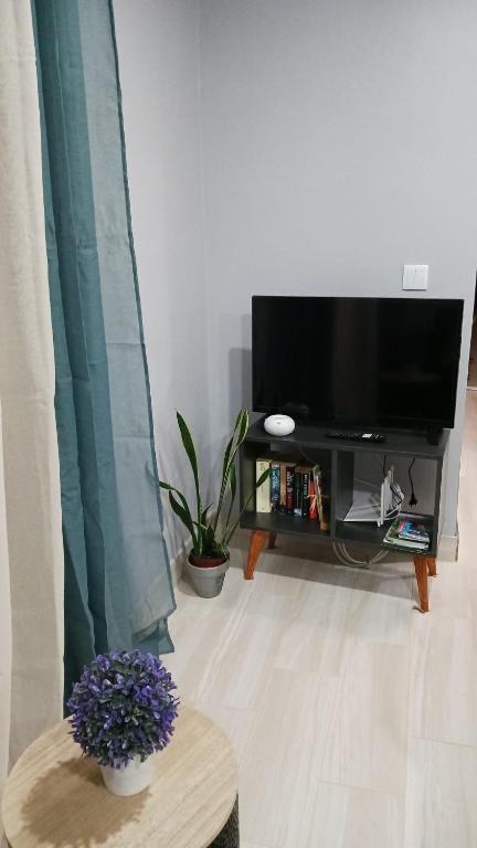 TV a/nebo společenská místnost v ubytování Faria's House