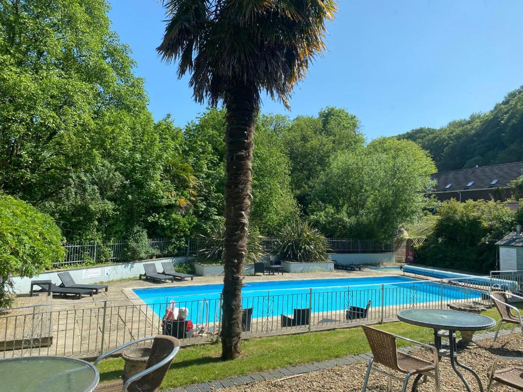 a palm tree next to a swimming pool at Fernhill Hotel in Lyme Regis