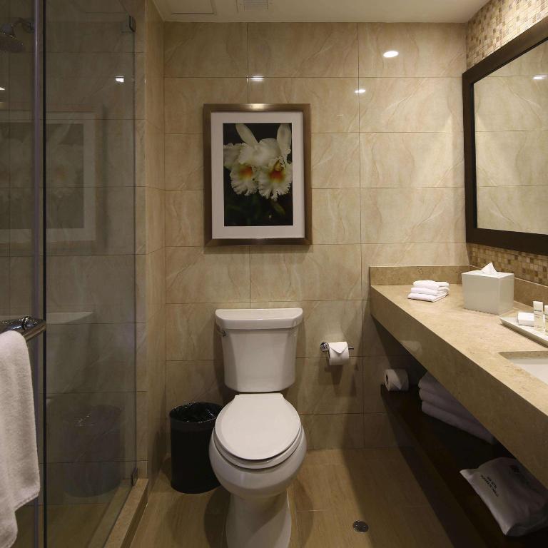 Koupelna v ubytování Hilton Garden Inn Cusco