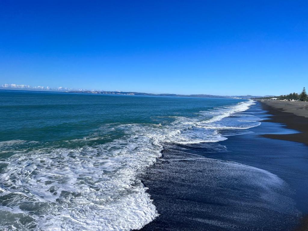 Beach Front Studio Napier - Resim 10