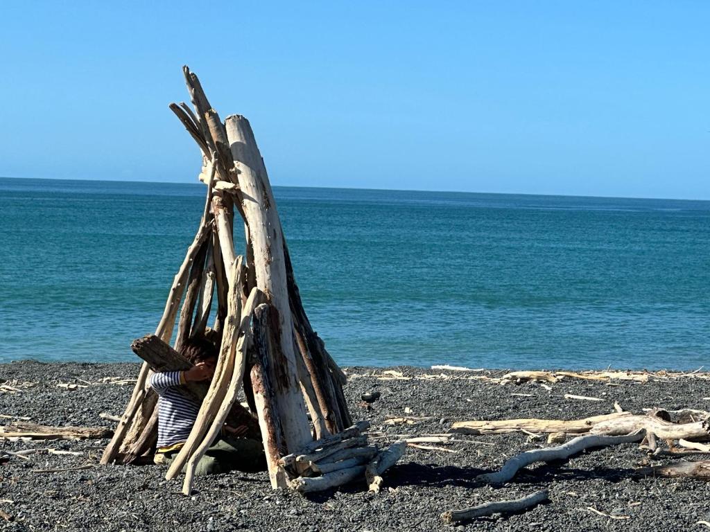 Beach Front Studio Napier - Resim 9