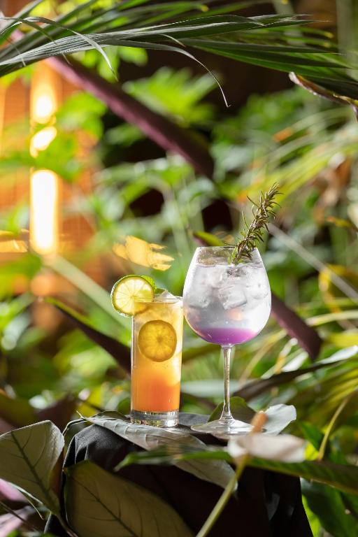 Pavilion On Northbourne - Resim 28