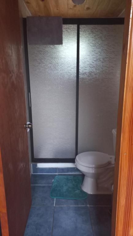 a bathroom with a toilet and a glass door at Agradable Cabaña inserta en bosque nativo in Pucón