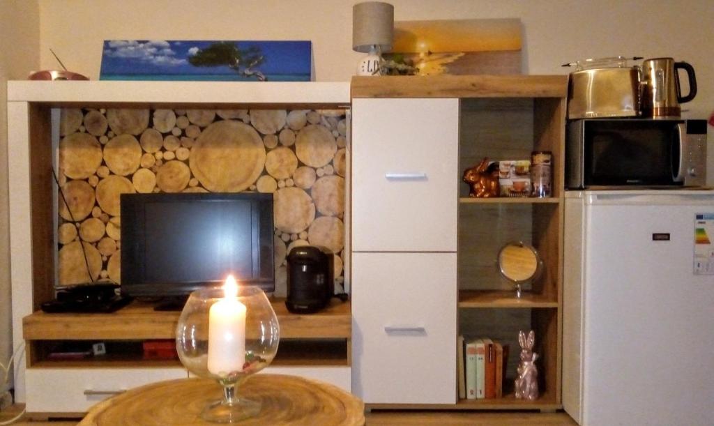 Kuchyň nebo kuchyňský kout v ubytování Apartman u Lipna, pro cyklisty, motorkare