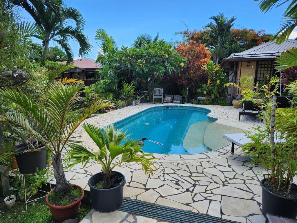 une piscine dans un jardin planté de palmiers dans l'établissement Fare Cocoon, à Punaauia