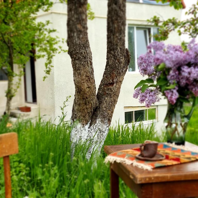 a table in front of a tree with purple flowers at Hooni_guesthouse in Odzun