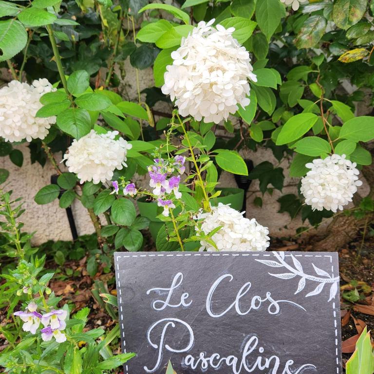 Zahrada ubytování Le clos Pascaline