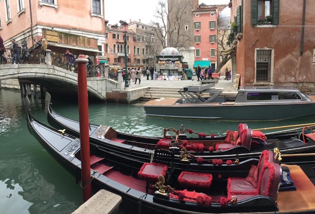 The Wolf House Greysclass - Resim 16