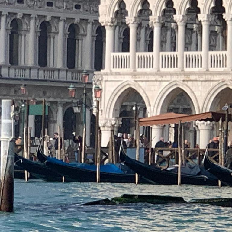 The Wolf House Greysclass - Resim 19