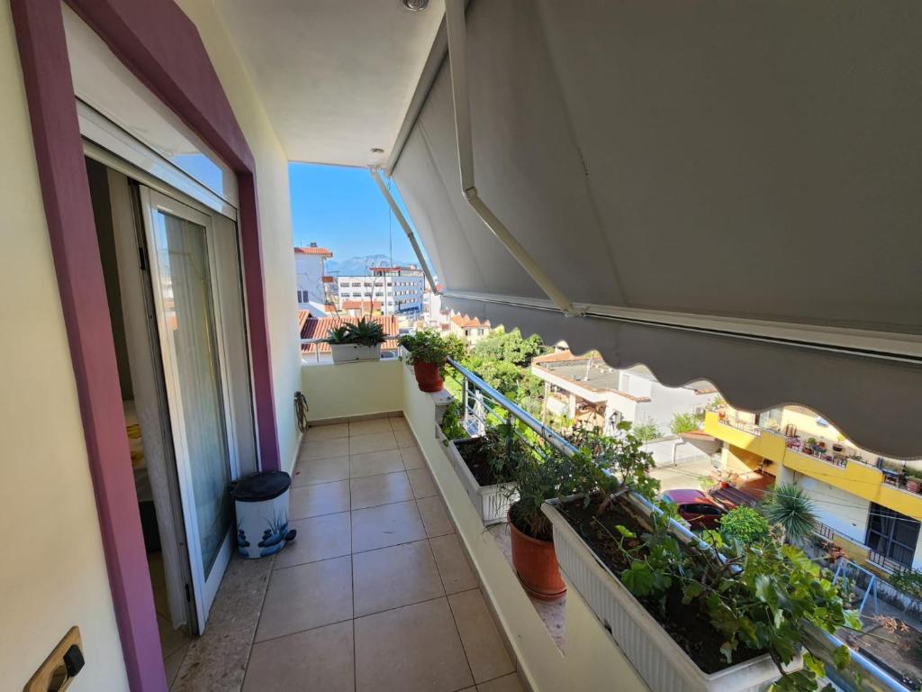 Balkón nebo terasa v ubytování Tirana Class House