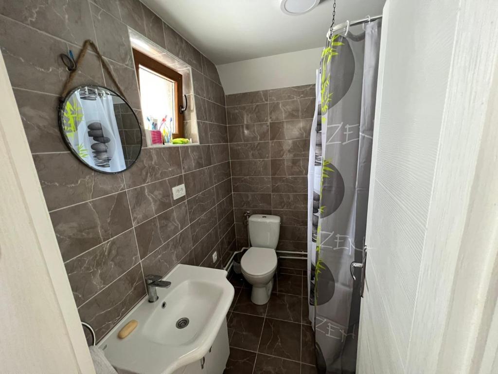 a bathroom with a sink and a toilet and a mirror at Žabljak- FamilyOasis in Žabljak