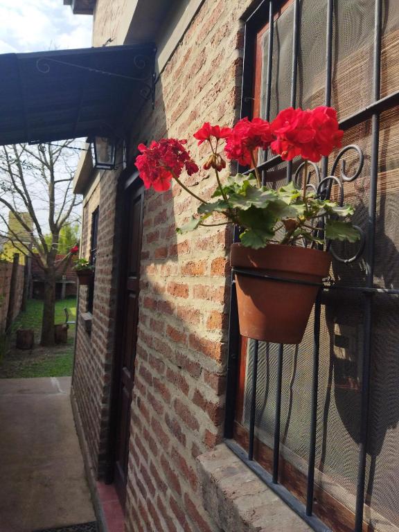 a window with a pot of red flowers on it at Armonía in Victoria