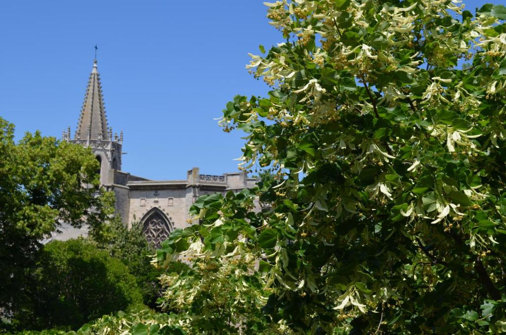 Hôtel Les Corps Saints - Resim 28