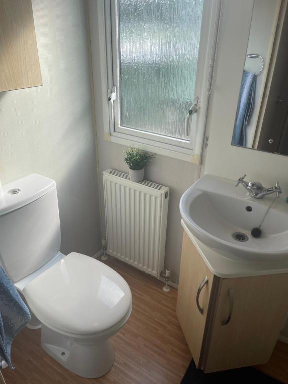 Łazienka z białą toaletą i umywalką w obiekcie Bird Lake Pastures 53 w mieście Northampton