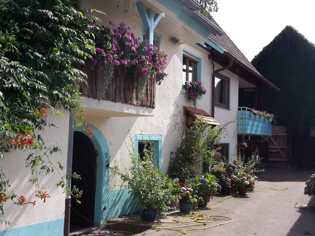 a house with flowers on the side of it at Rosenhof Broggingen in Herbolzheim