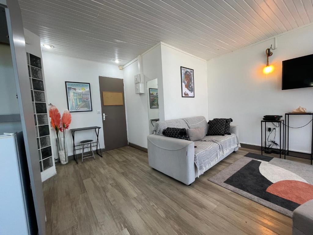 ein Wohnzimmer mit einem Sofa und einem TV in der Unterkunft PENTHOUSE 10 MIN port croisière et aéroport in Pointe-à-Pitre