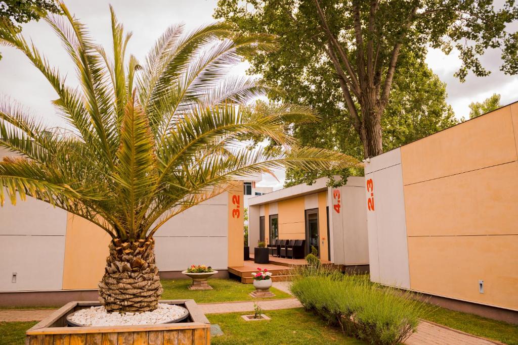 una palmera frente a un edificio en Enigma Resort, en Mamaia