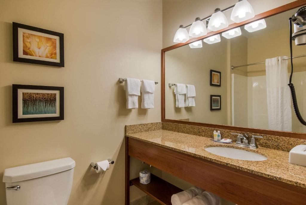 Koupelna v ubytování Comfort Inn & Suites Barnesville - Frackville