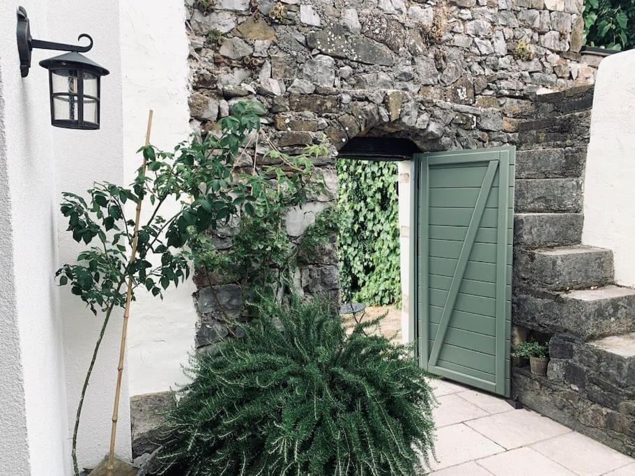 a green door in a stone building with a plant at Reza house in Branik