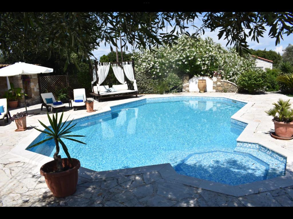 a swimming pool with a potted plant in a yard at Gidalia Villa in Gouvia