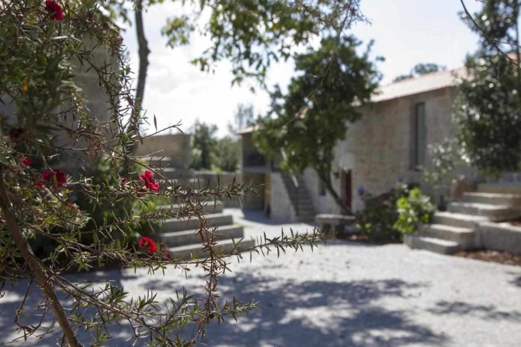 Um jardim em Casas do Ermo - Ermo Villas