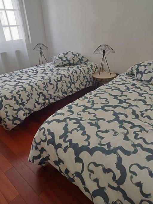two beds sitting next to each other in a bedroom at Appartement au Cœur de Tours, la Ville à Vos Pieds in Tours