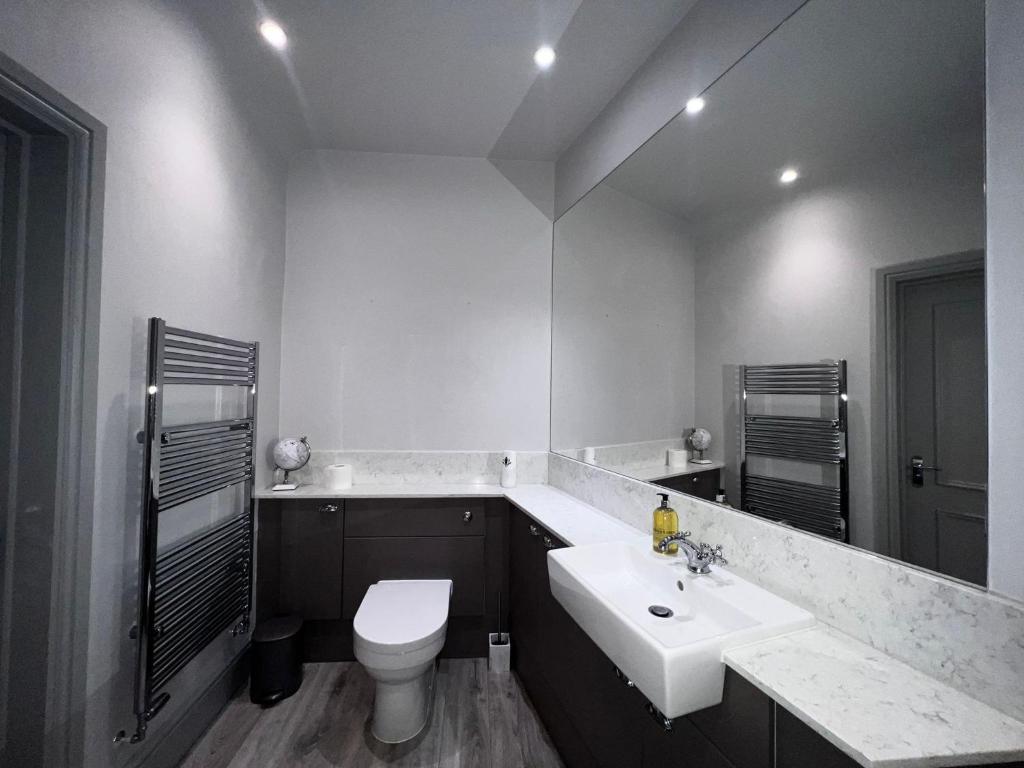 uma casa de banho com um lavatório branco e um WC. em Luxury apartment Berkshire em Binfield