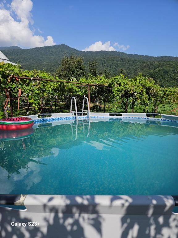 een zwembad met een fontein in het midden bij Guest house lagodekhi in Lagodekhi
