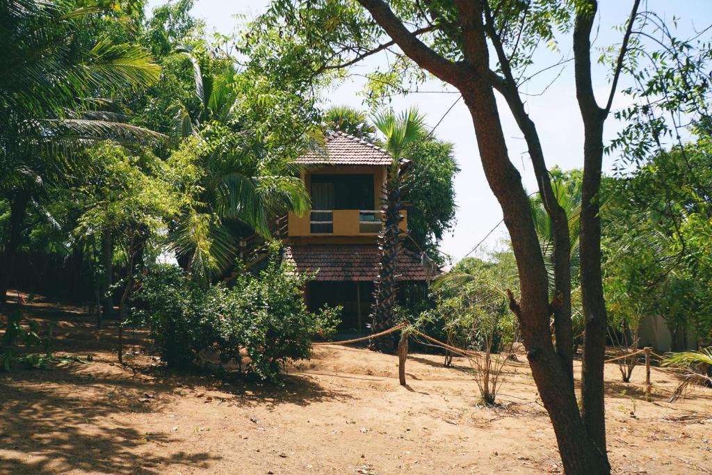 Zahrada ubytování Hilltop Cabanas