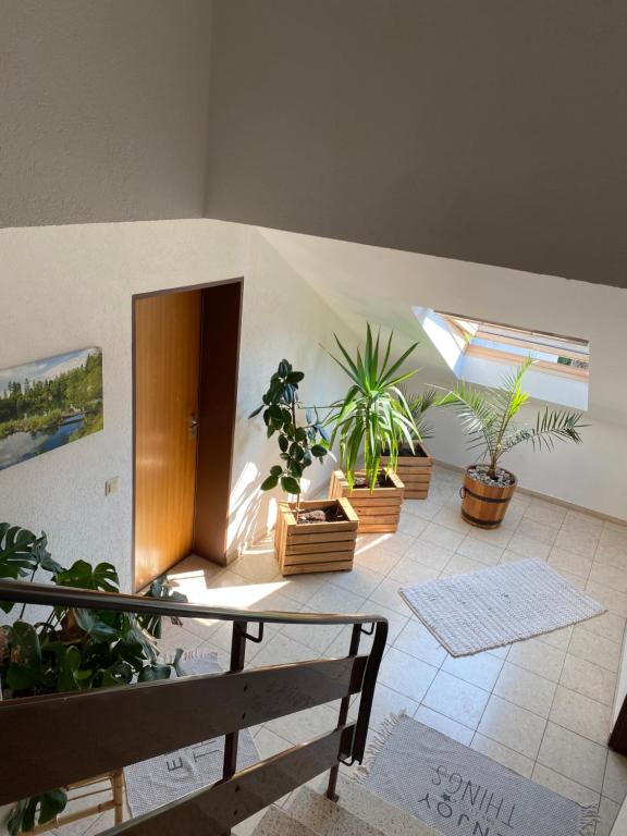 Fotografie z fotogalerie ubytování FeWo Skywalk Willingen v destinaci Stryck