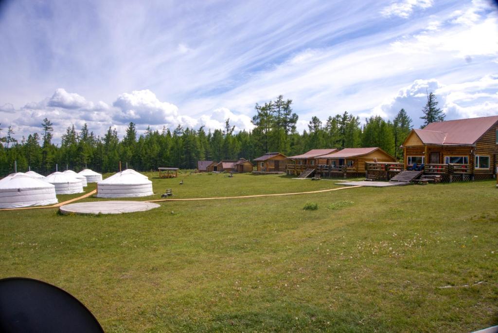 un groupe de tentes dans un champ arboré dans l'établissement Khun Odod Resort, Khuvsgul province Mongolia, 