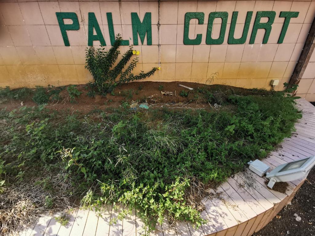 a building with a bunch of plants in front of it at DIY Palm Court Bedroom in Kuantan