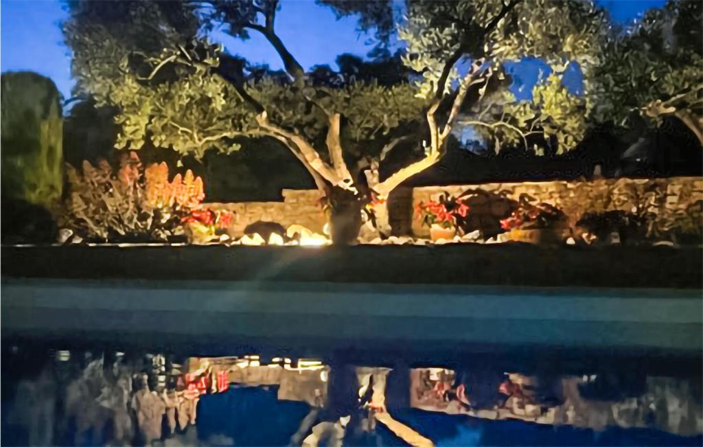 a reflection of a tree in a pool at night at Awesome Home In Fontarches With 2 Bedrooms, Wifi And Outdoor Swimming Pool in Fontarèches