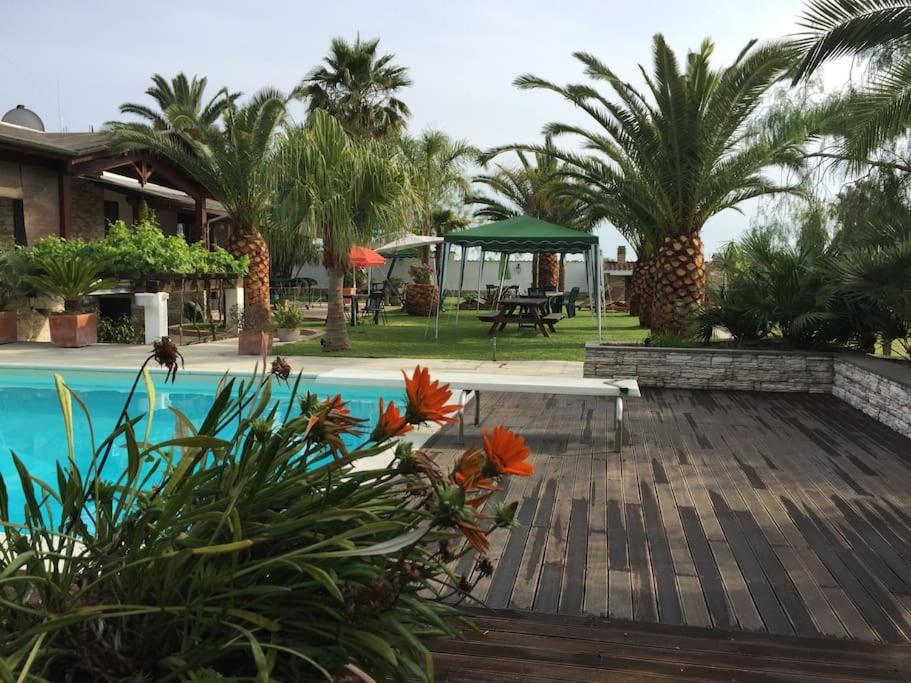 een resort met een zwembad en palmbomen bij The Bamboo villa in Casale la Cogna