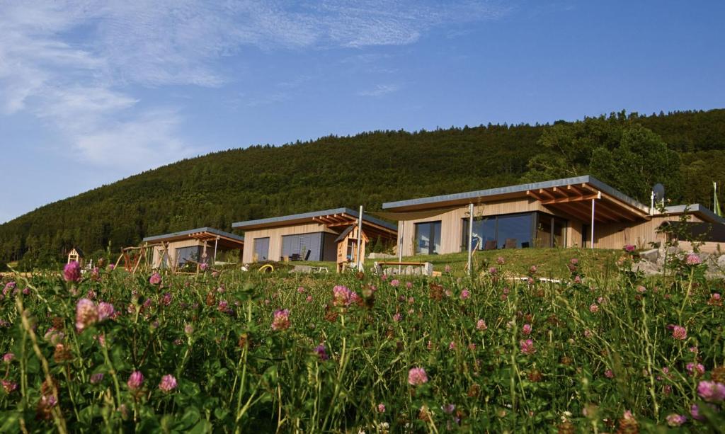 uma casa numa colina com um campo de flores em An Webers Stoag em Geisingen