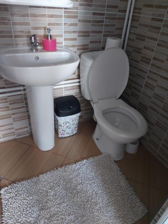 Koupelna v ubytování CASA DALYS