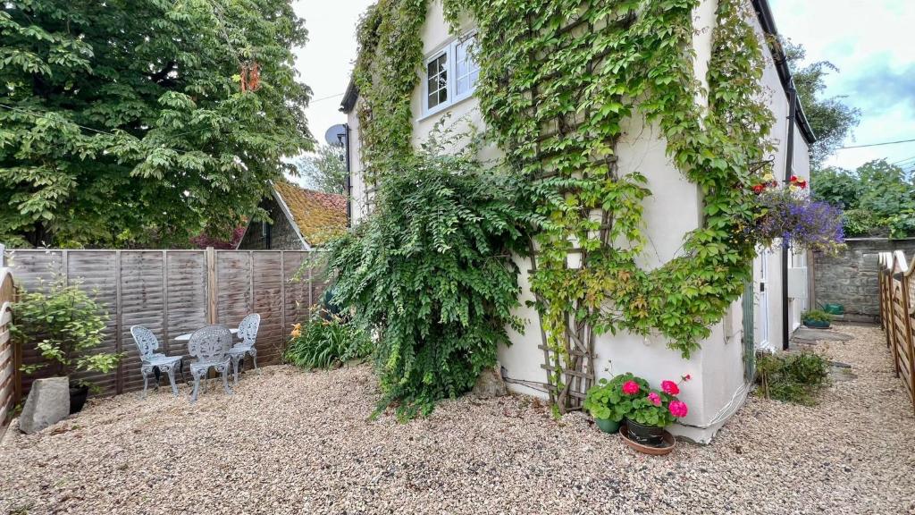 a garden with a house covered in ivy at Curry Mallet Cottages in Taunton