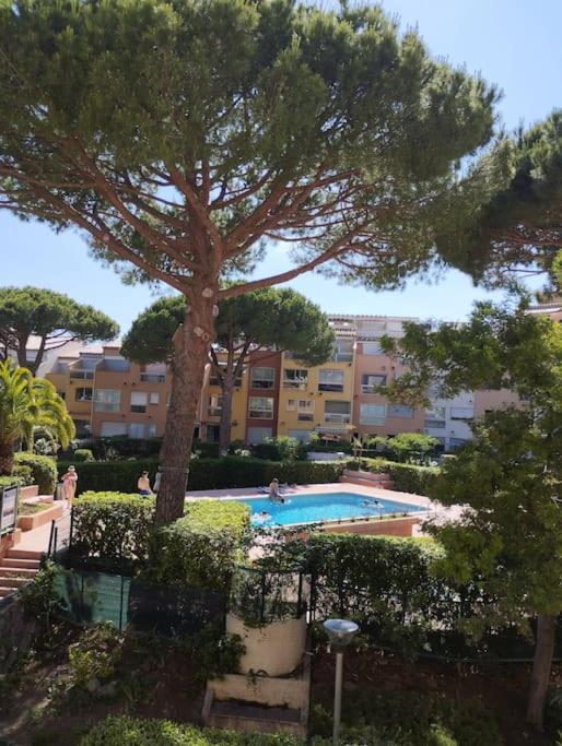 une piscine avec un arbre en face d'un bâtiment dans l'établissement Studio 4 couchages avec piscine d'été vue port, au Cap d'Agde