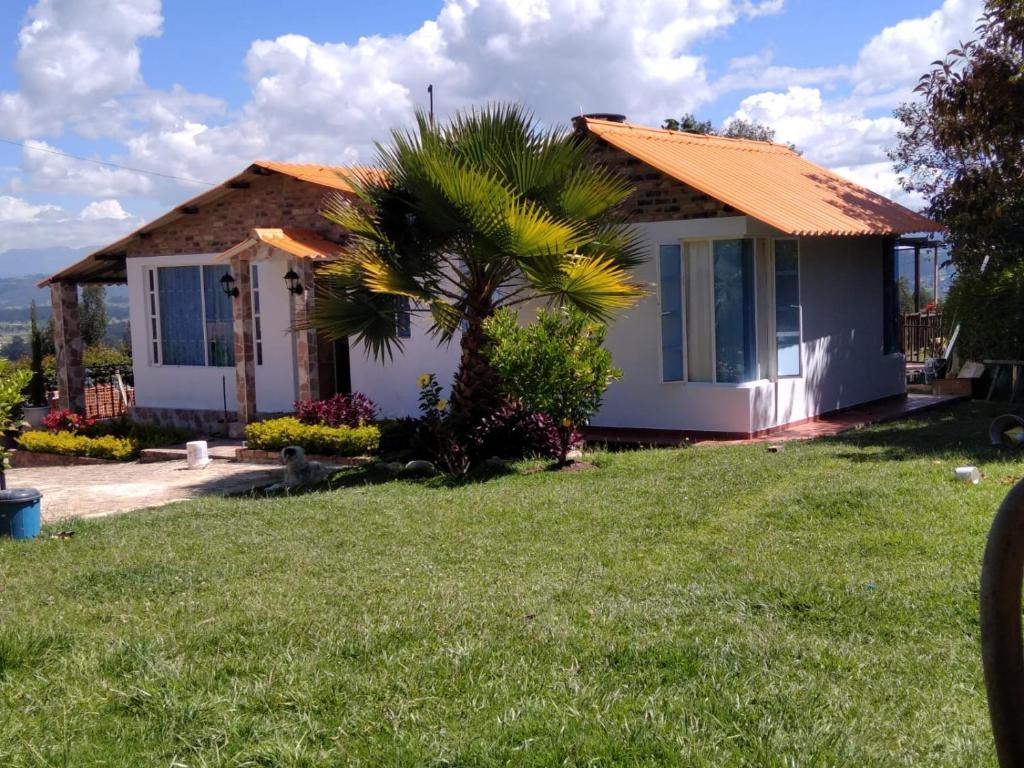 una casa con una palmera en el patio en villa concha, en Paipa