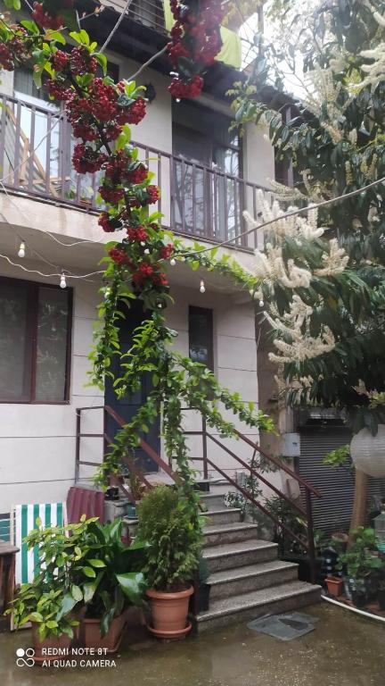 Zahrada ubytování George Apartment