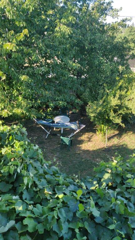 una mesa de picnic y un banco en un patio con árboles en Adriana, en Murfatlar