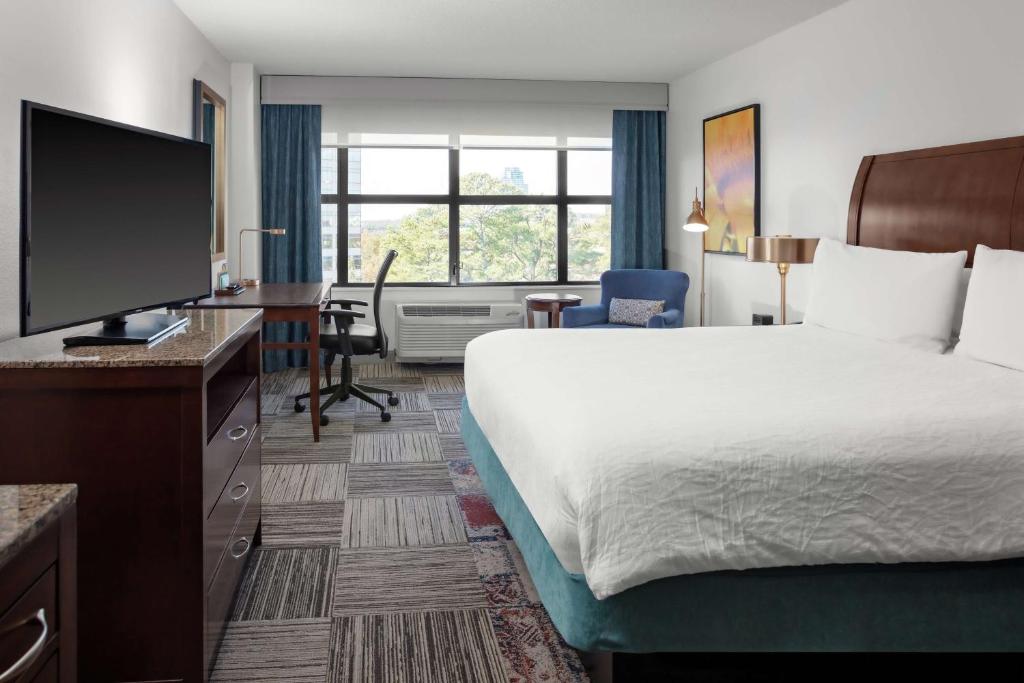 Hilton Garden Inn Atlanta Perimeter Center - Room King Con Sofá Cama - No Fumadores