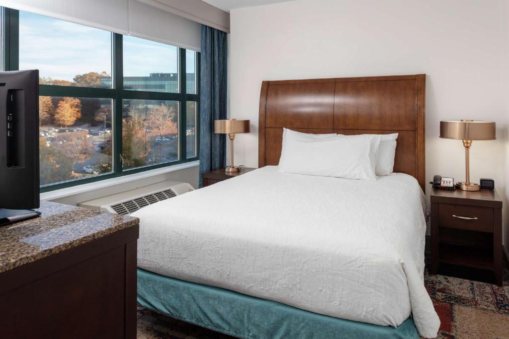 Hilton Garden Inn Atlanta Perimeter Center - Junior Queen Suite Con Cama Con Sofá